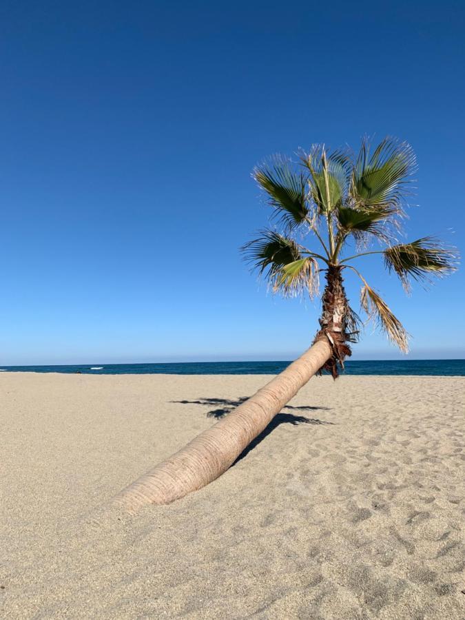 Résidence La Pinède Le Barcarès Exterior foto